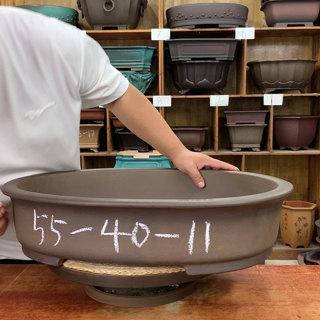 红陶20CM（含）-50CM（不含）