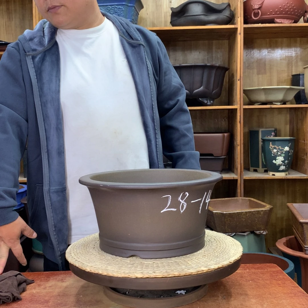 红陶20CM（含）-50CM（不含）阳*