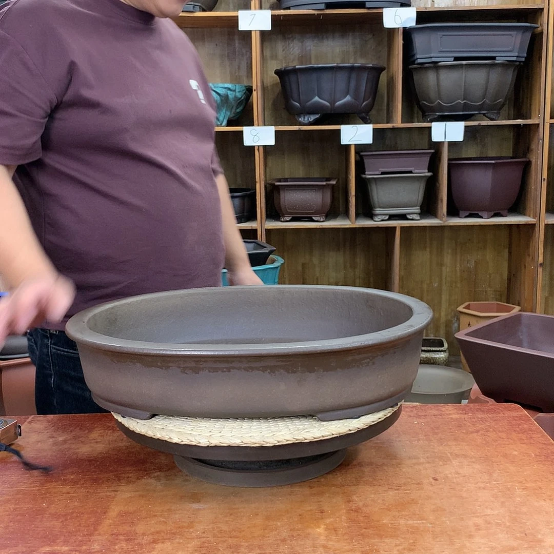 红陶20CM（含）-50CM（不含）风**顺