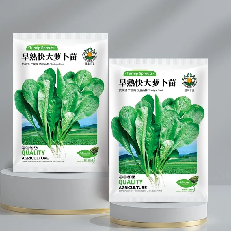 (新客立减)萝卜菜种子 萝卜苗 蔬菜种子阳台盆栽易种生长快四季易
