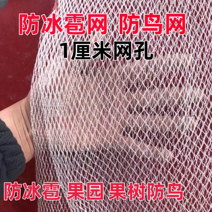 防雹网定制果园防鸟网葡萄樱桃嘉宝果全新尼龙厂家直销防雹防鸟网