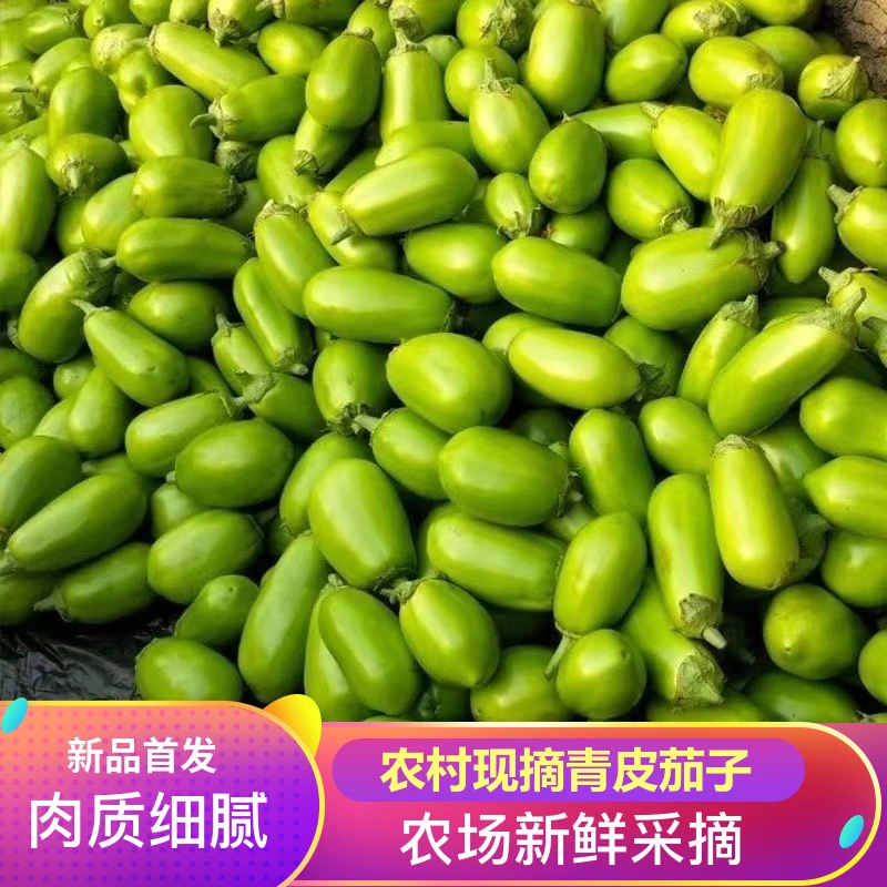 【地头价】青茄子新鲜农家自种蔬菜绿茄子可生吃3斤5斤包邮