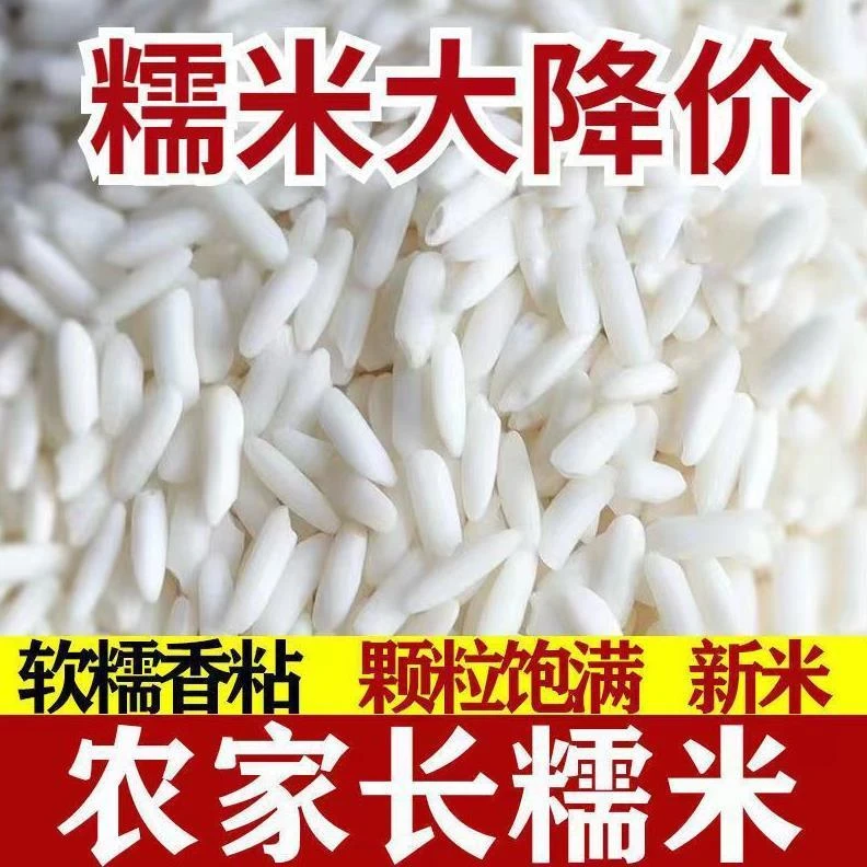【新货】长糯米农家自产白糯米江米包粽子做饭团糯米珍珠糯米酿酒米