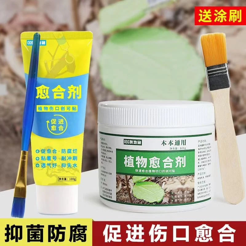 植物愈合剂盆景修剪扦插专用伤口愈伤膏树木桩口封口涂补剂