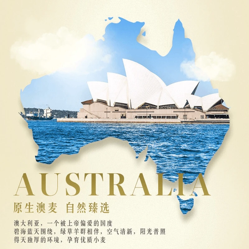 金龙鱼澳麦面椭圆挂面800克*3袋优质劲道麦芯营养甄选风味挂面