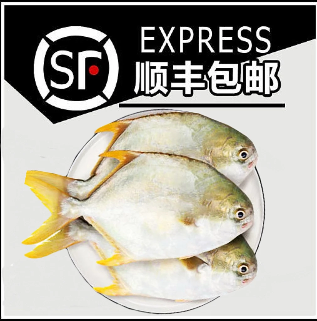 【金鲳鱼】惠来神泉港金鲳鱼【5包】新鲜海捕速冻锁鲜顺丰冷链发货