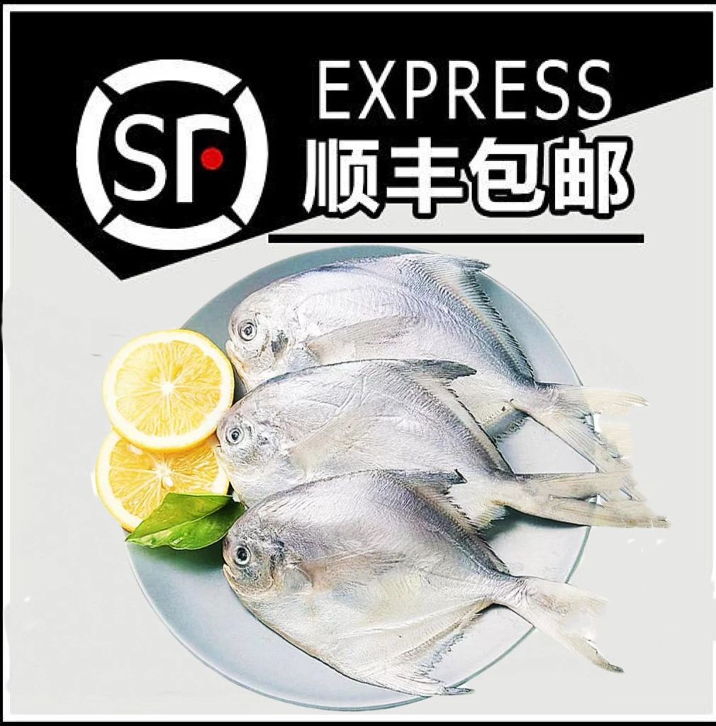【白鲳鱼】惠来神泉本港海捕小白鲳【5包】优选原产地顺丰冷链包邮