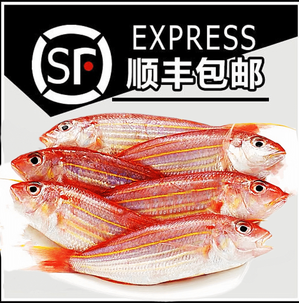 【红杉】惠来神泉港本港浅海网捕红杉【5斤】原产地野生速冻顺丰包邮