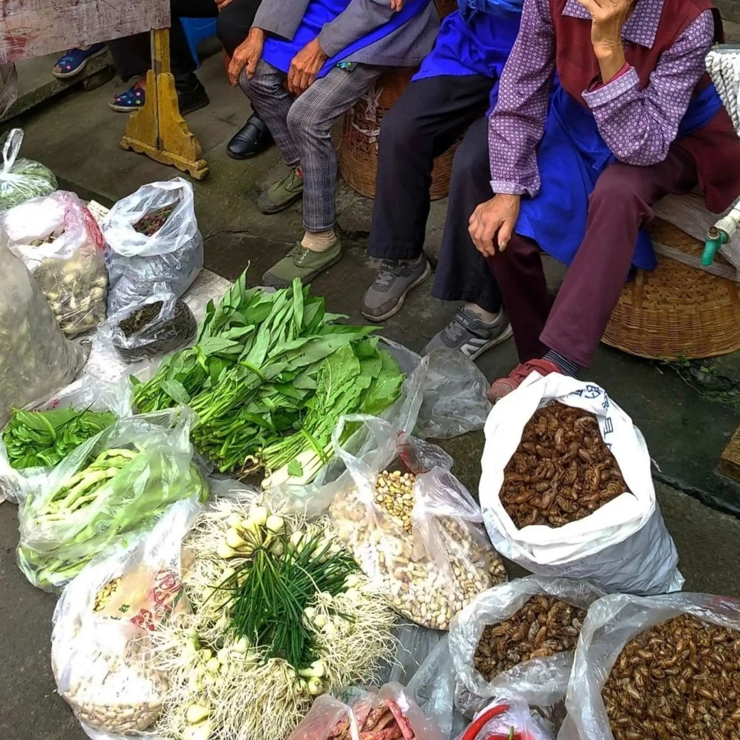 贵州高山种植蔬菜山货代发净含量山货代买1-6斤