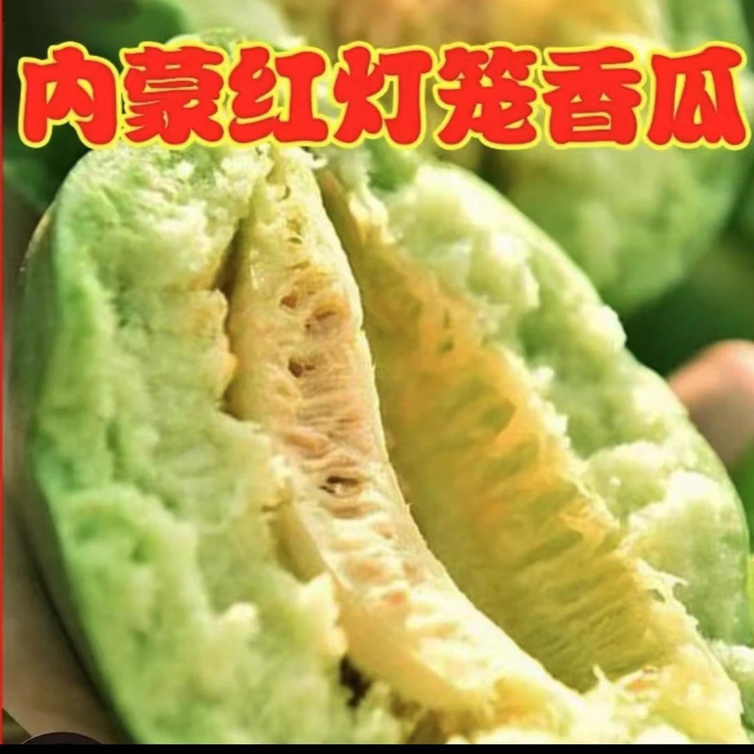 （顺丰包邮）内蒙古灯笼红香瓜自然熟口感沙甜