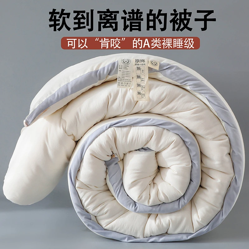 A类大豆纤维被水洗棉加厚保暖冬被春秋被子棉被酒店冬季被芯