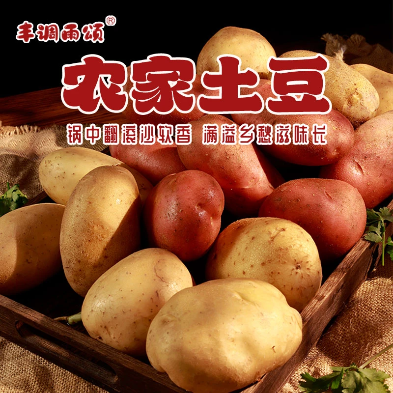 【产地直销】正宗黄心土豆现挖新鲜红皮土豆农家自种高山马铃薯包邮