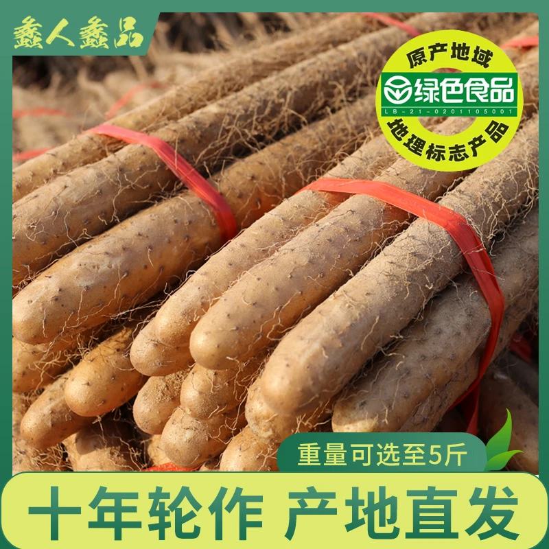 绿色食品正宗河北蠡县麻山药小白嘴山药5斤 非河南铁棍山药新鲜