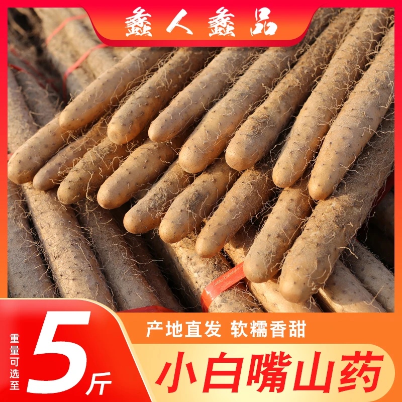 蠡人蠡品小白嘴山药新鲜净重5斤绿色食品蠡县山药现发好吃