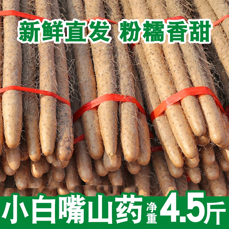 蠡人蠡品新鲜现挖现发河北蠡县小白嘴山药软糯4.5斤麻山药