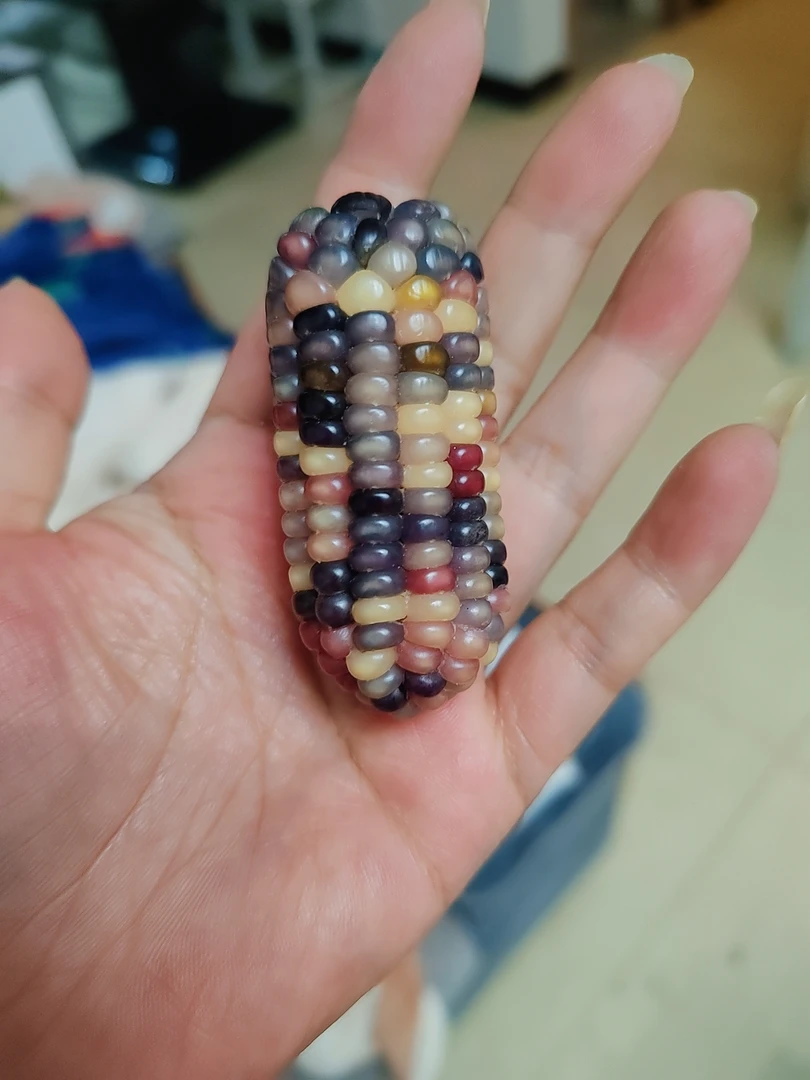 文玩小玉米，一物一拍。乱拍不发