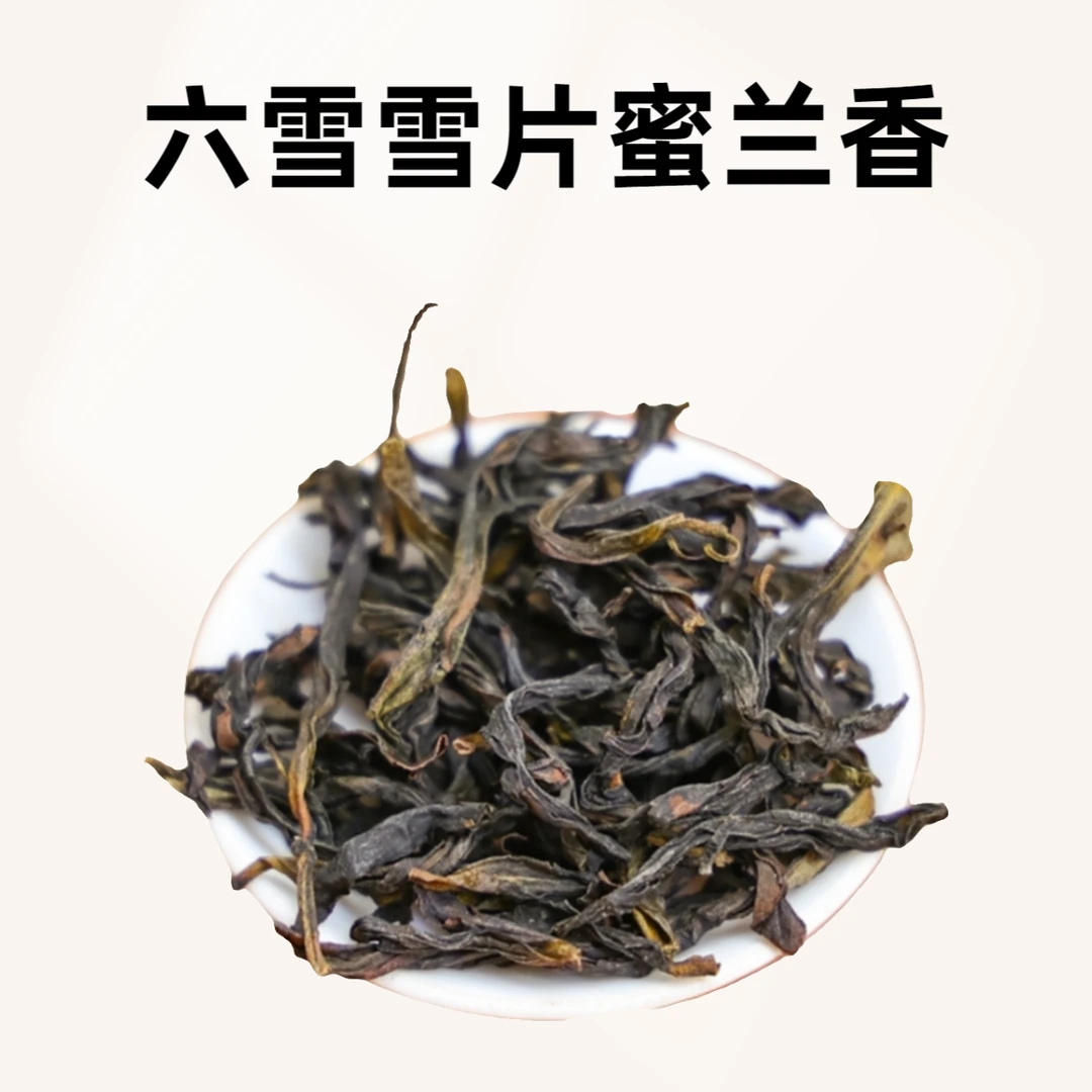 凤凰单丛茶六雪雪片一级蜜兰香凤凰单丛茶清香型正宗潮州原产地