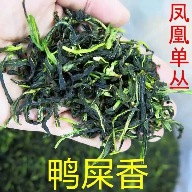 凤凰单丛茶2025年一级高香头春抽湿鸭屎香清香型单枞茶乌龙茶正宗