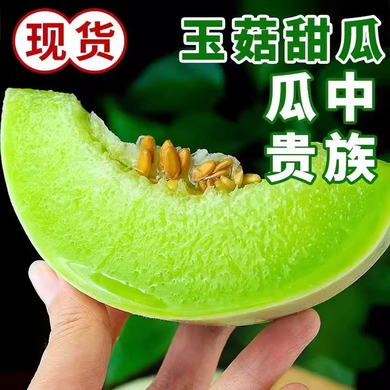 爆甜玉菇甜瓜蜜瓜冰淇淋新鲜水果整箱应季时令哈密脆香瓜3斤包邮