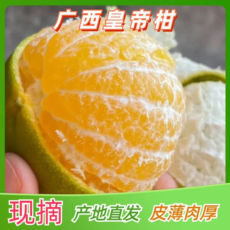 广西皇帝柑3/5/9斤当季新鲜孕妇水果皇妃贡柑超清甜爽口产地直发