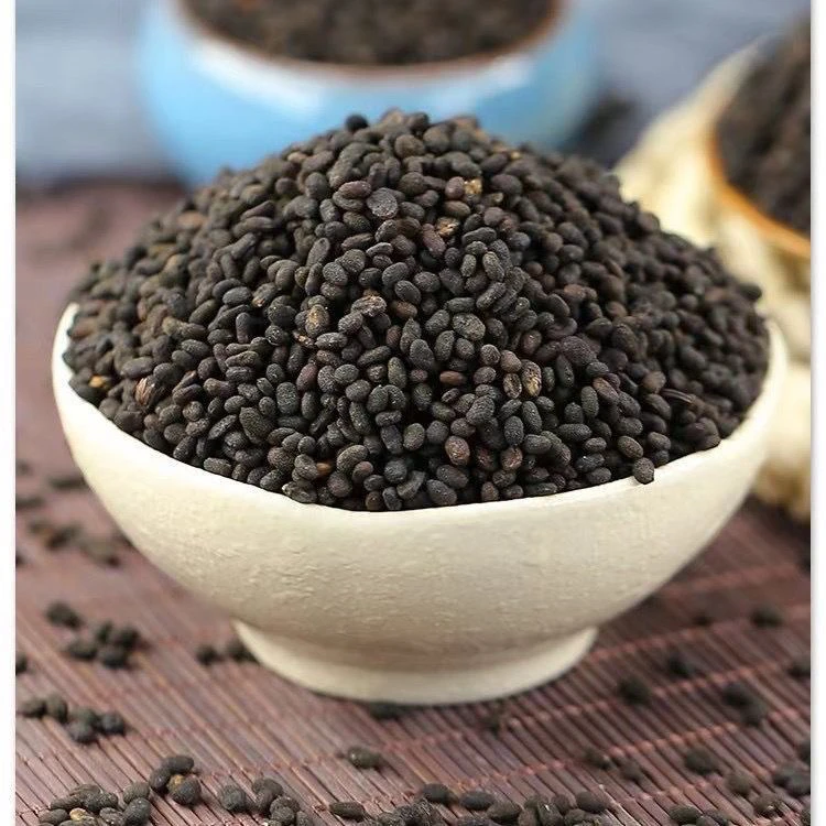 补骨脂 道地优选