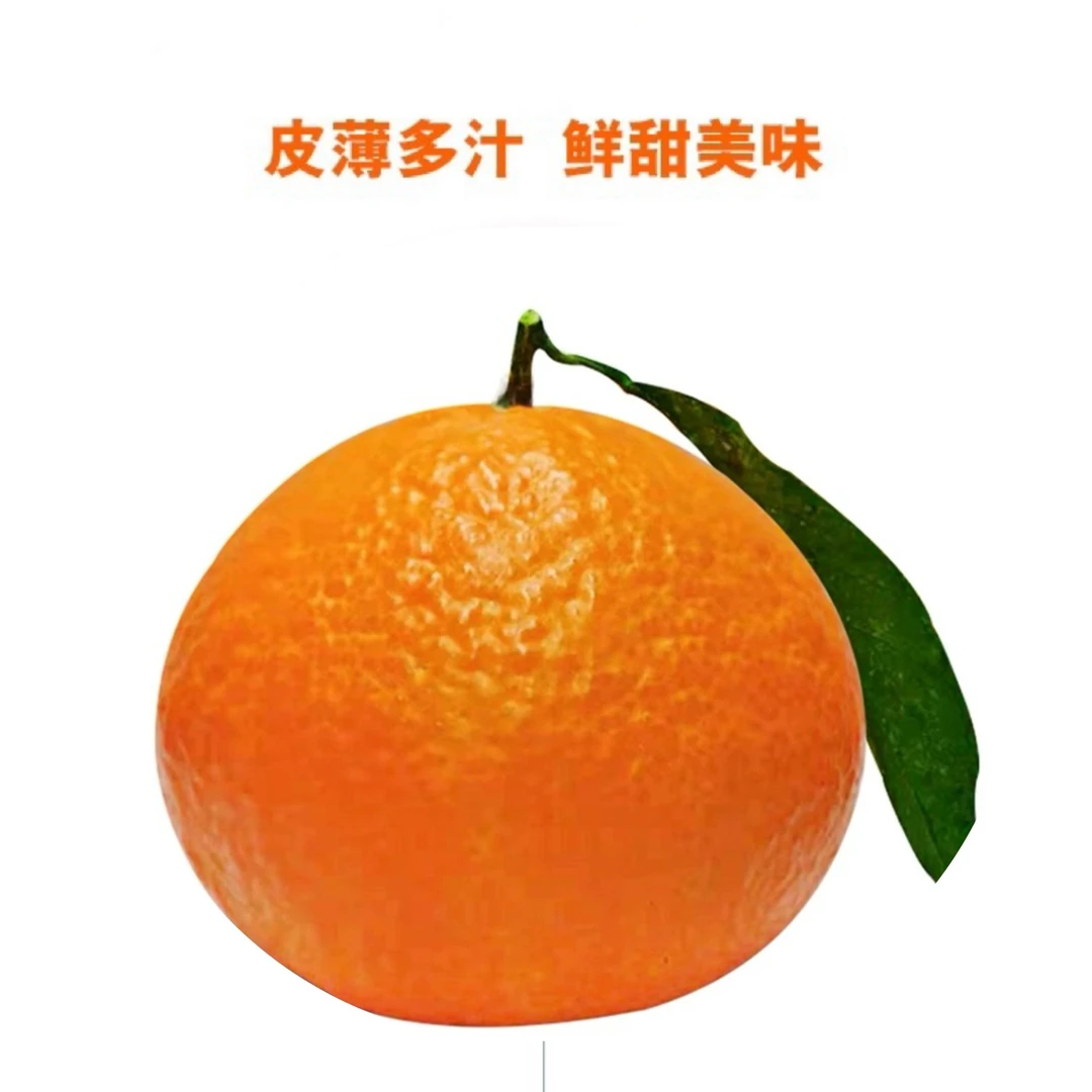 依田农场红美人橘橙6斤礼盒装新鲜当季高端水果爱媛28号顺丰包邮