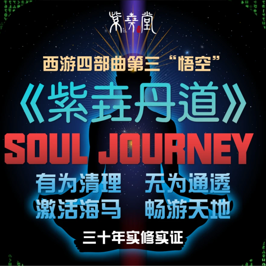 《紫垚丹道》，有为通透，无为连接，海马出海，通天达地，实修陪跑300天