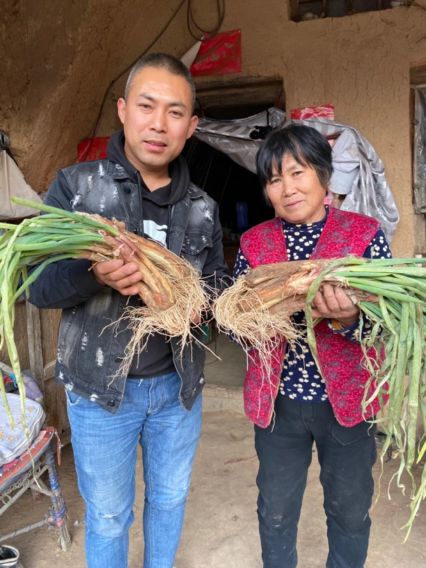 自信哥推荐（产地直发）陕北旱地农家红葱3/5斤装