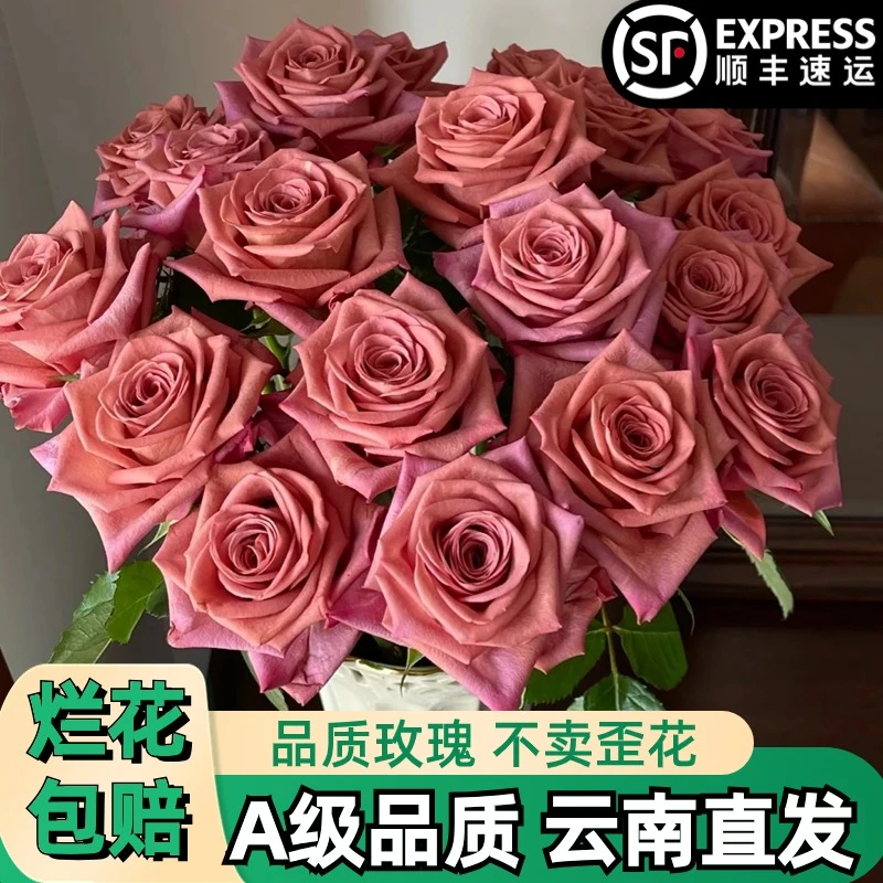 A【调香师】复色玫瑰鲜花朵插花束鲜切花卉云南基地「豆沙红】顺丰
