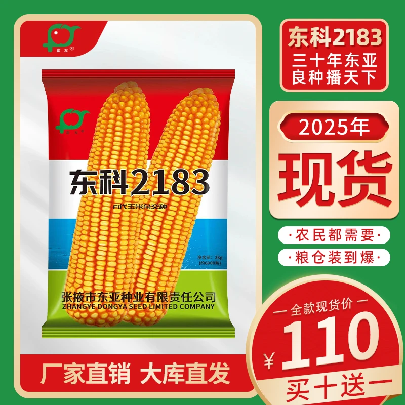 东科2183玉米种子