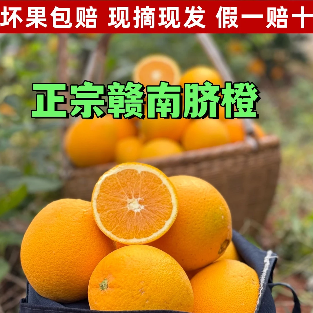 正宗江西赣南脐橙新鲜采摘爆汁手剥橙现摘整箱寻乌核心产地直发