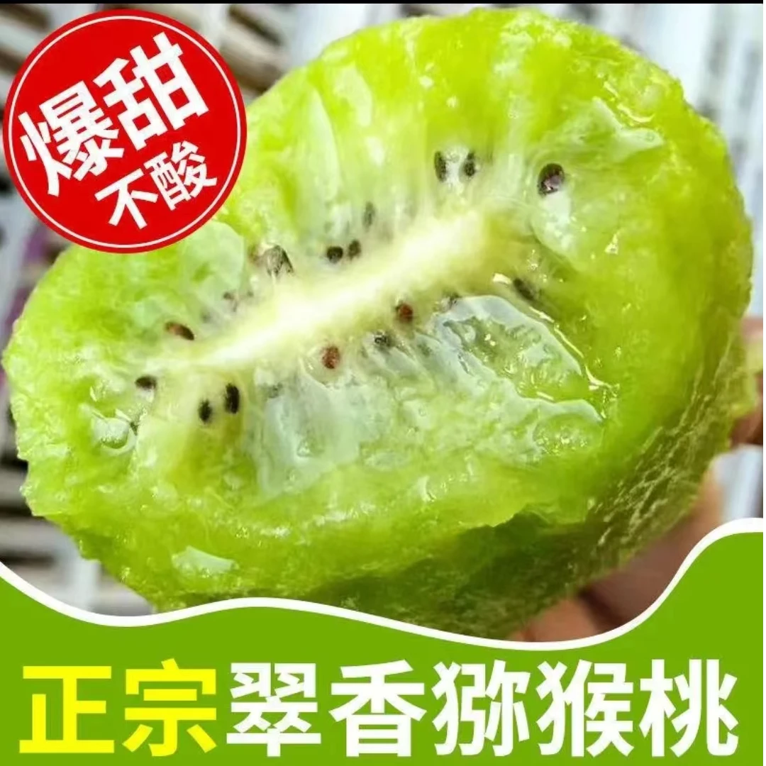 陕西周至翠香猕猴桃新鲜采摘清甜爽口奇异果包邮