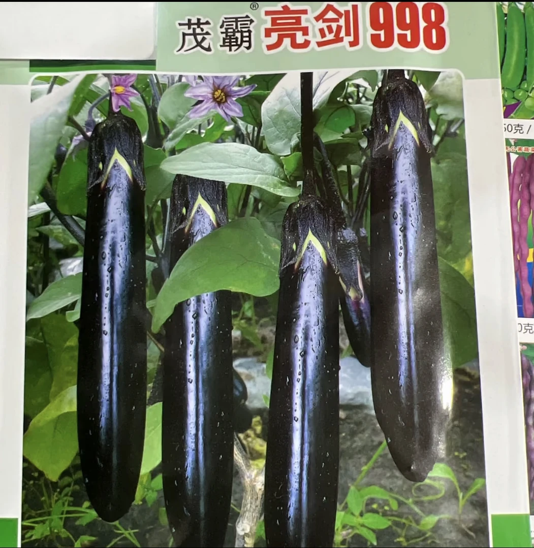 亮剑998长茄种子