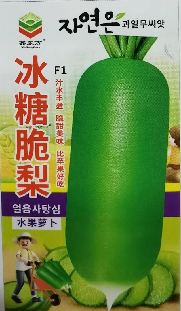 冰糖脆梨水果萝卜种子