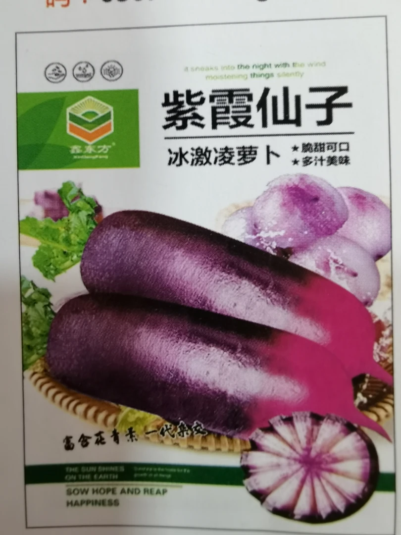 紫霞仙子冰淇淋萝卜种子