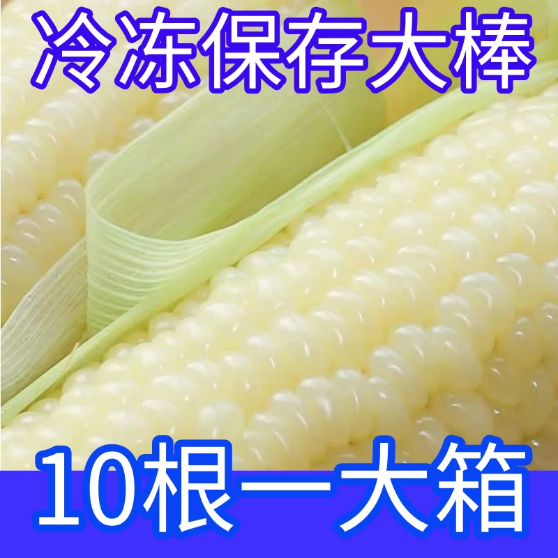 【试吃2棒】2024年新鲜东北冷冻保存白糯玉米整箱10根6斤【须冷冻】