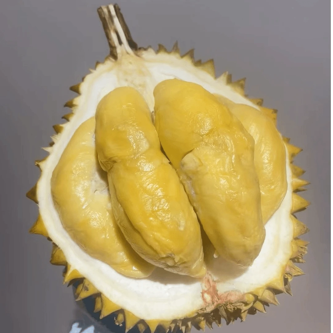 树熟金枕榴莲A果