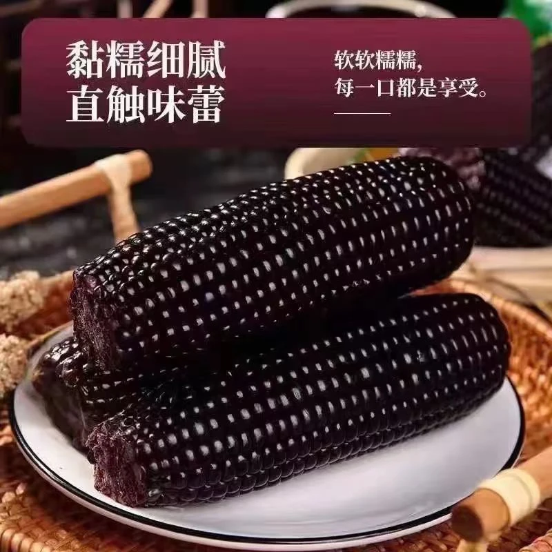黑糯玉米整箱10支5斤2024年头茬东北黑玉米软糯香微甜真空锁鲜