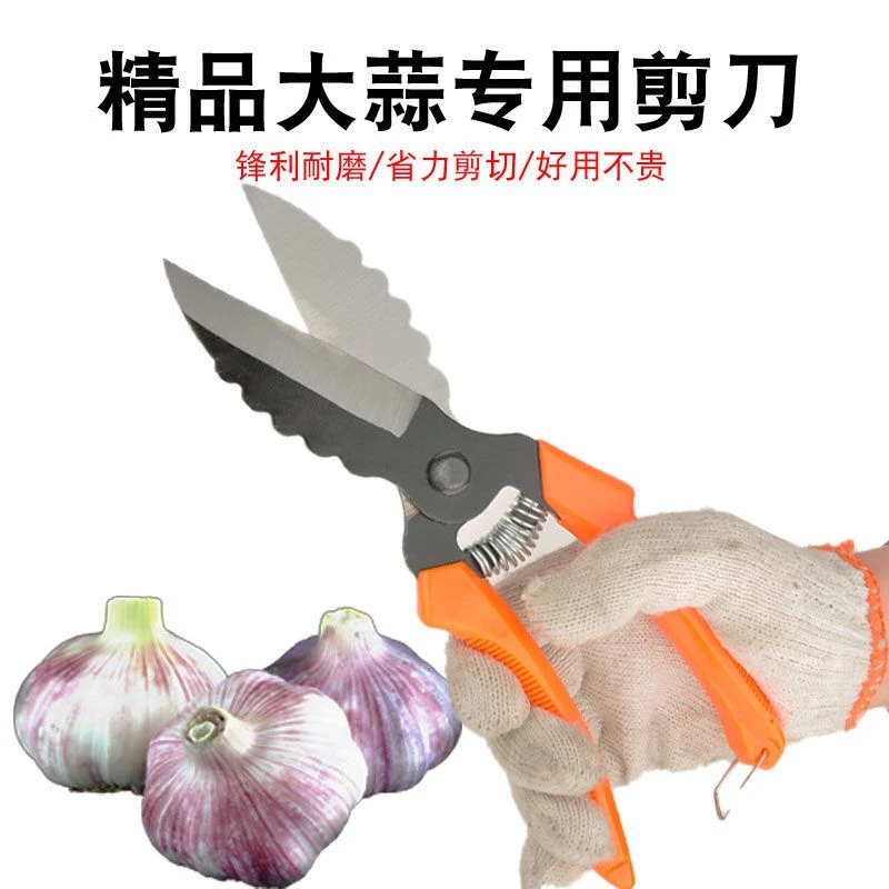 大蒜剪刀专用剪蒜根剪蒜头剪大蒜剪蒜胡农用大葱生姜洋葱专用剪子