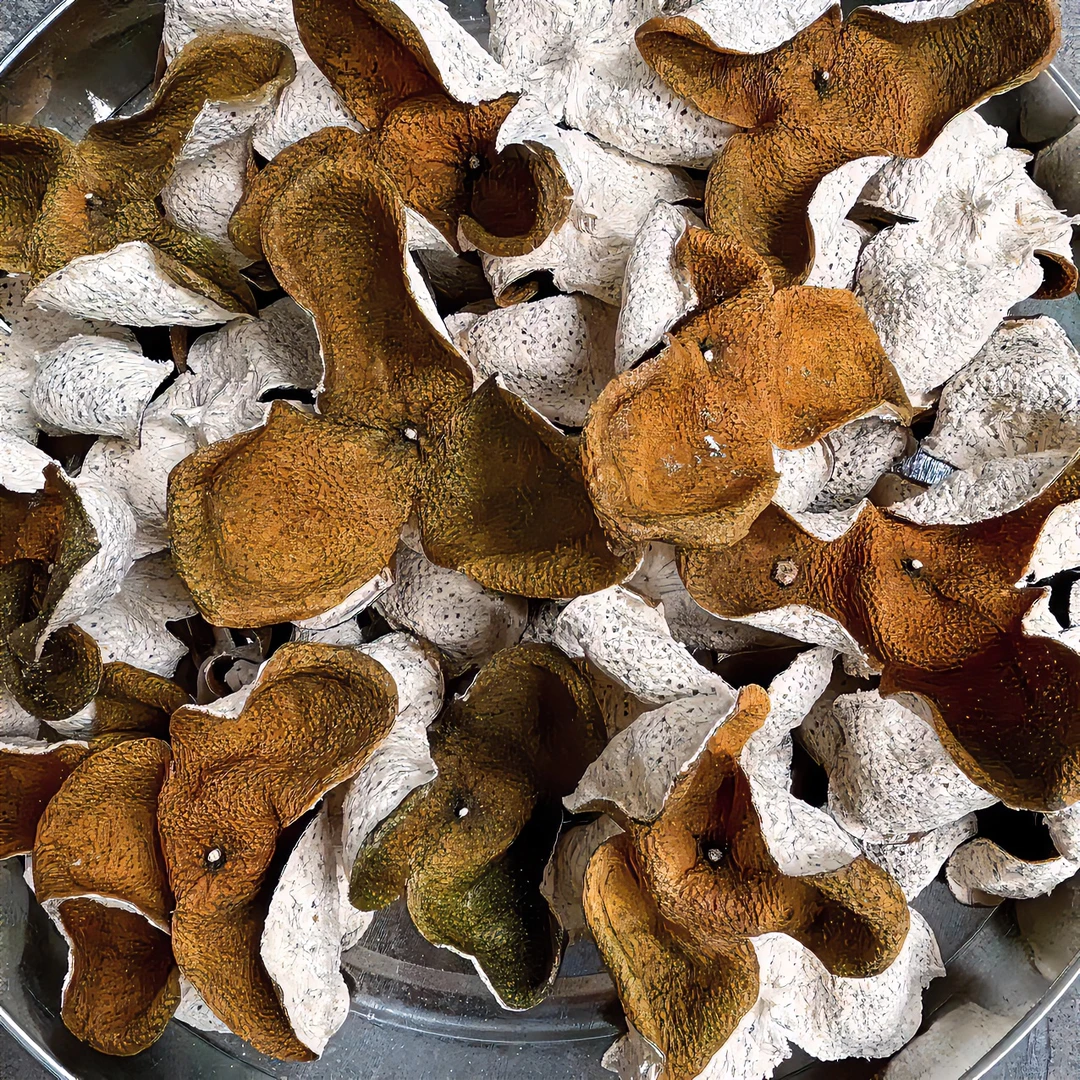 【二红皮】2022年天马圈枝二红皮自然生晒#特产#纯手工营养散装