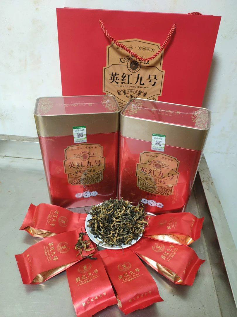 【英德红茶】春茶明前英红九号花果香鲜爽蜜甜1罐送6小泡试饮装