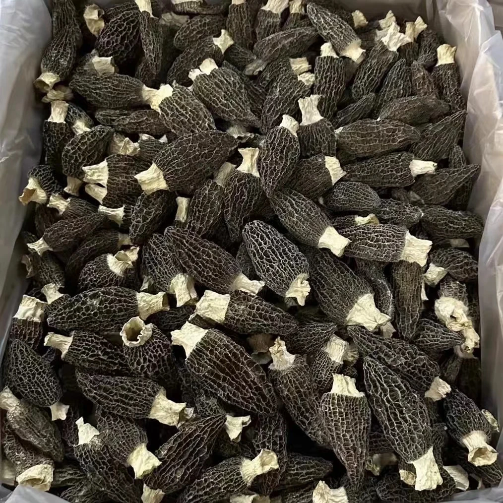 Z 004  裕初 羊肚菌 100g  干货 广东汕头