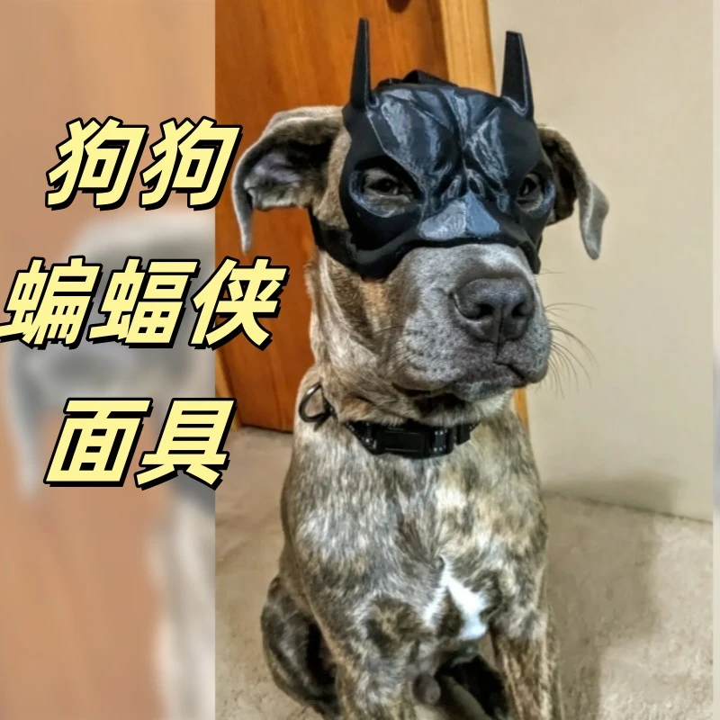 狗狗蝙蝠侠面具猫咪玩具搞笑装饰道具狗狗搞笑头套头饰宠物面罩