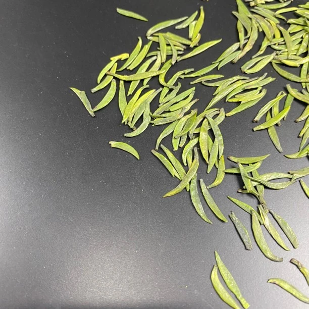 雀舌2025新茶正宗峨眉山明前早春嫩芽绿茶叶清香型礼盒装