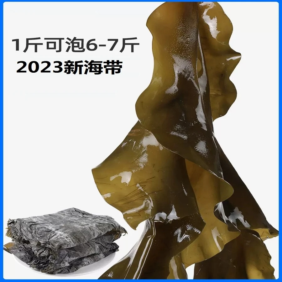 2023海带干货霞浦天然日晒海带干海带无沙凉拌炖汤农产品食用