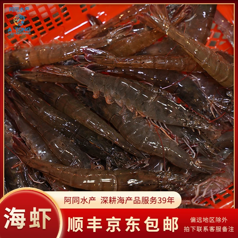 【阿同优选】缺氧海捕虾海虾 肉质鲜甜