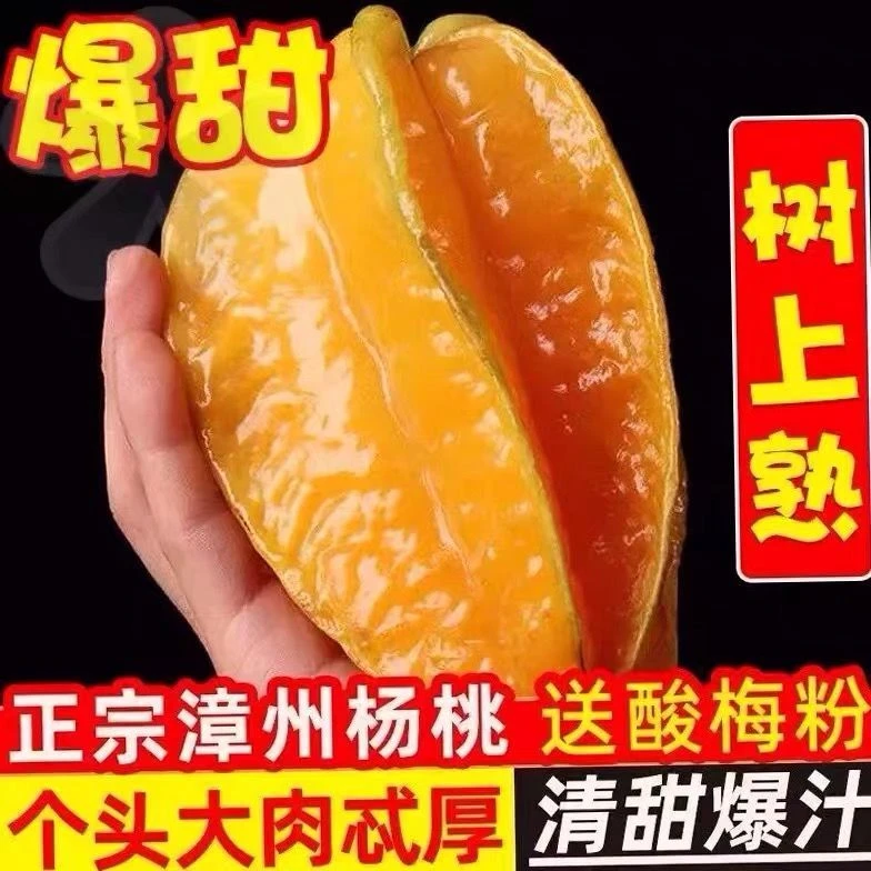 【现摘现发】新鲜杨桃降火孕妇水果酸甜杨桃阳桃当季热带水果批发