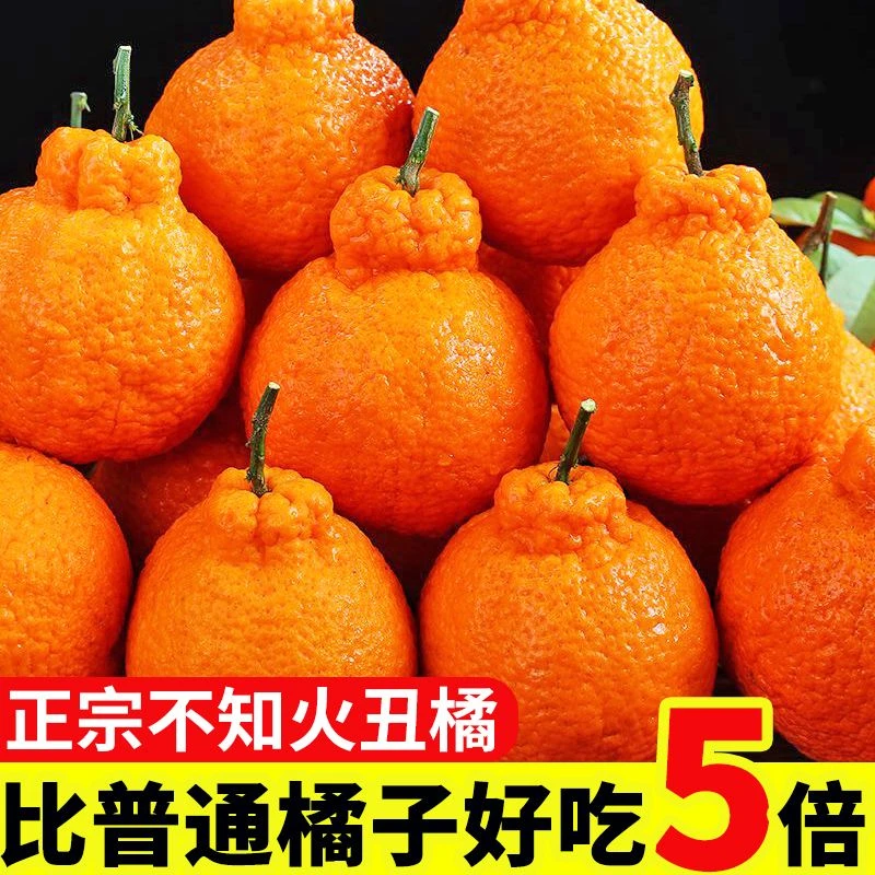 四川不知火丑橘新鲜3斤整箱水果当季粑粑5斤柑橘耙耙桔子品质多汁