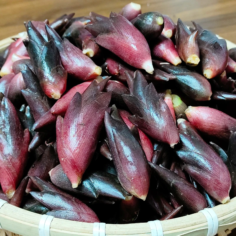 新鲜洋合现摘现发野生阳荷杨荷姜当季蔬菜农家自种洋霍阳合1斤装