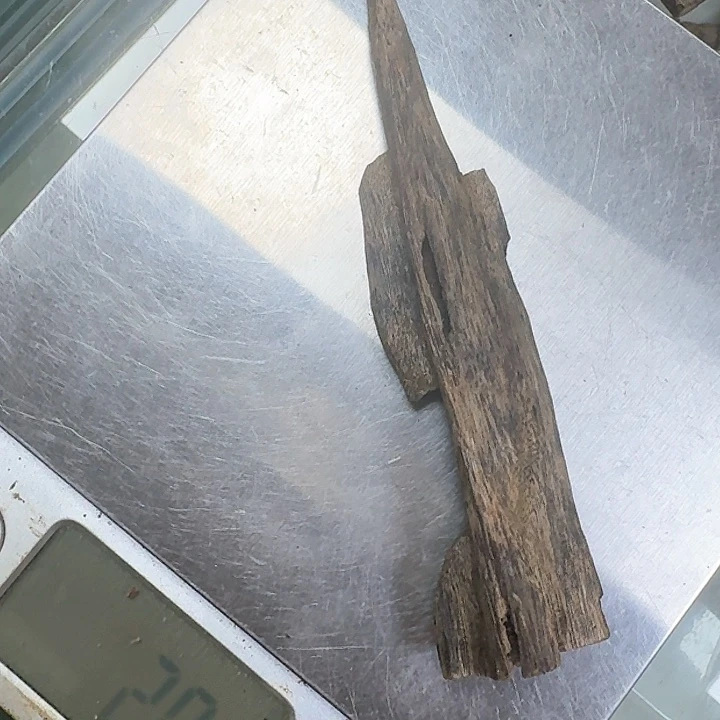 沉香白奇虫漏20克+发一个